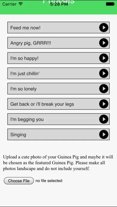 تصاویر Guinea Pig Communicator