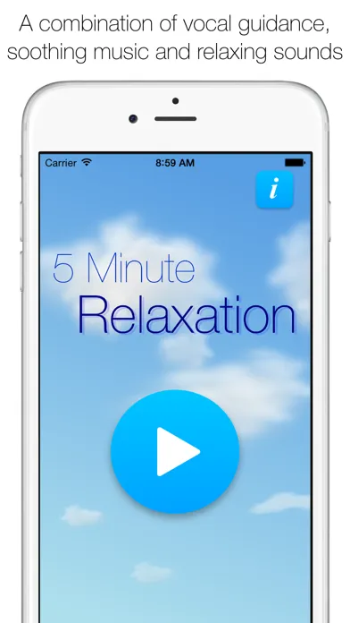 Screenshot di 5 Minute Relaxation