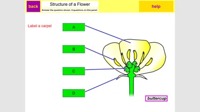 ภาพหน้าจอของ KS3 Science Review