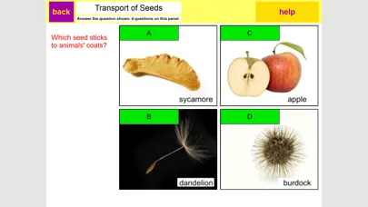 ภาพหน้าจอของ KS3 Science Review