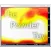 The Powder Toy