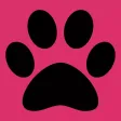 Dog Rater