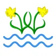 Ysgol Glanrafon, Mold