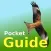 Pocket Guide UK Birds of Prey