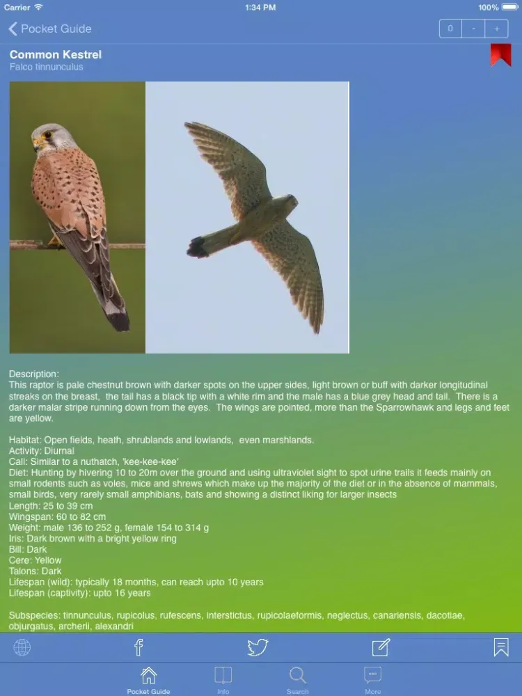Pocket Guide UK Birds of Prey iPad  スクリーンショット