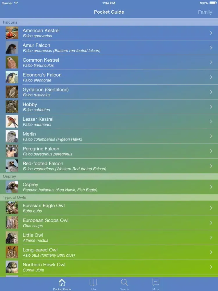 Pocket Guide UK Birds of Prey iPad  スクリーンショット