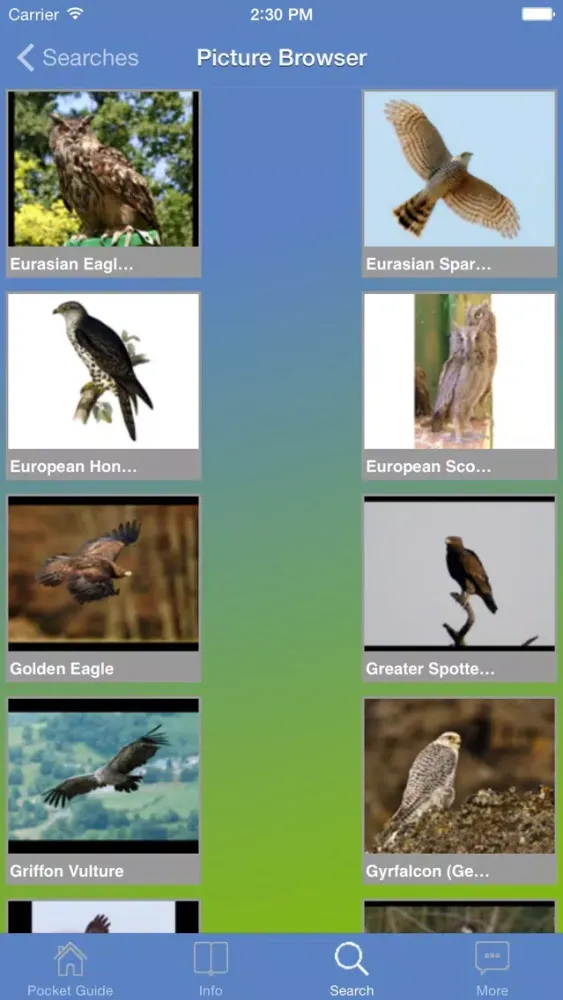 Pocket Guide UK Birds of Prey スクリーンショット