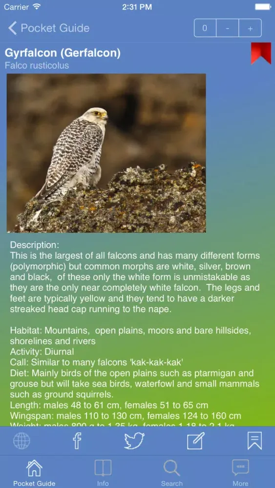 Pocket Guide UK Birds of Prey スクリーンショット