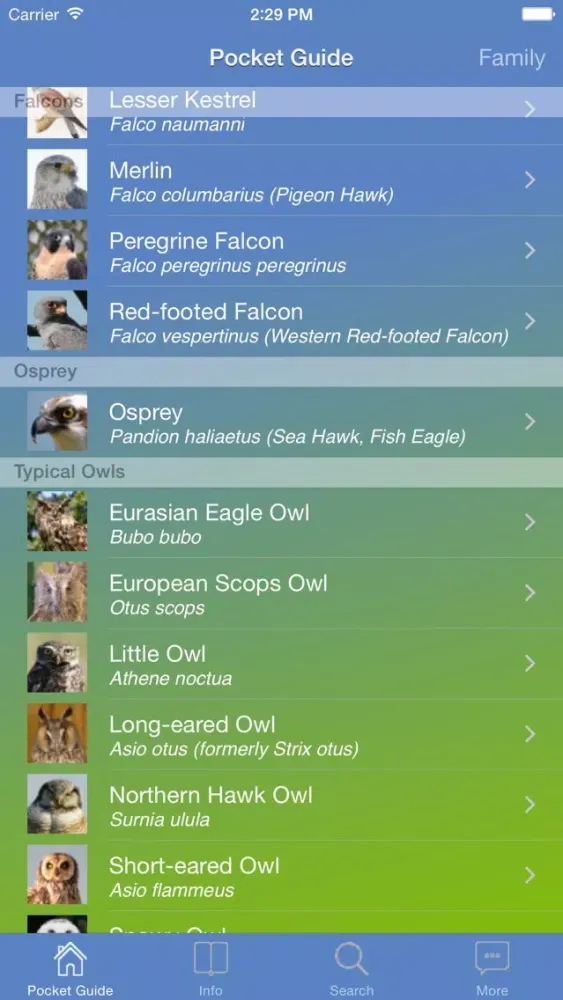 Pocket Guide UK Birds of Prey スクリーンショット