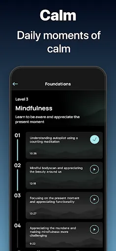 Serenity: Guided Meditation应用截图