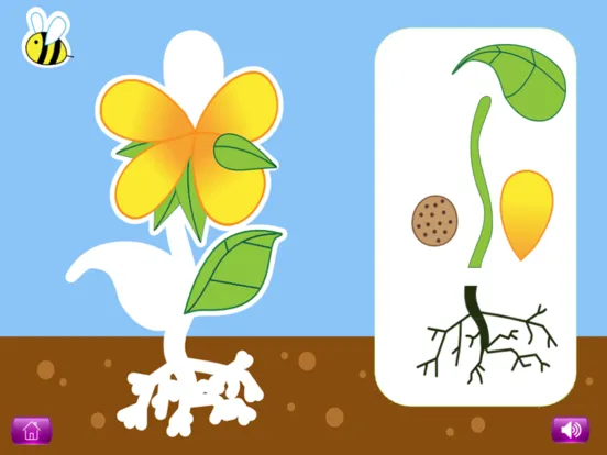 Naming Plant&Animal Parts Lite iPad  स्क्रीनशॉट