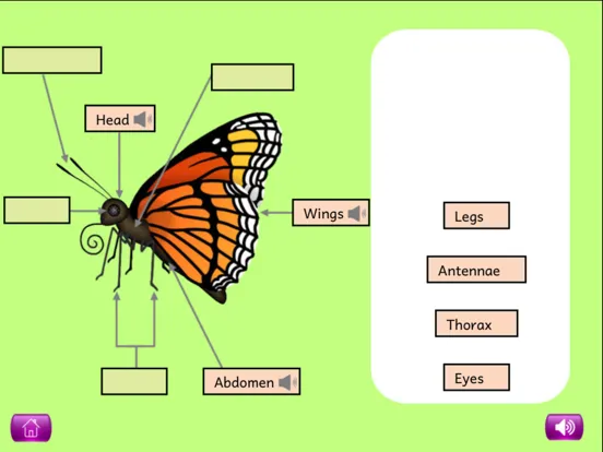 Naming Plant&Animal Parts Lite iPad  स्क्रीनशॉट