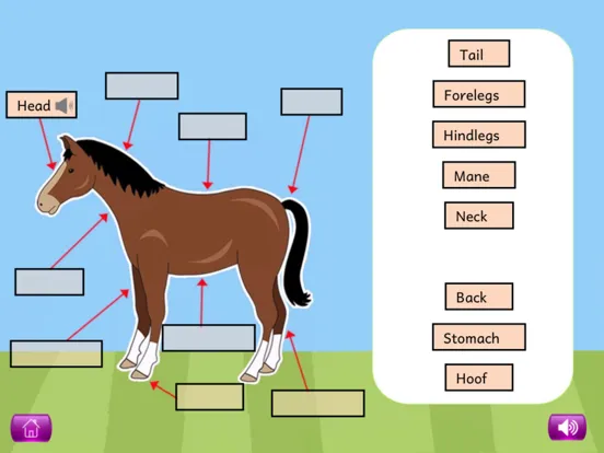 Naming Plant&Animal Parts Lite iPad  स्क्रीनशॉट