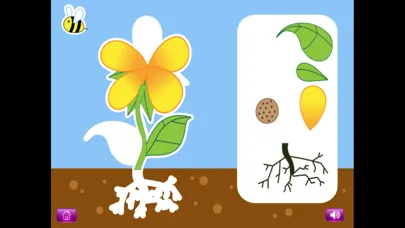 Naming Plant&Animal Parts Lite स्क्रीनशॉट