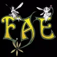 FAE Magazine FAE Magazine