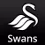 FN365 - Swansea News Edition