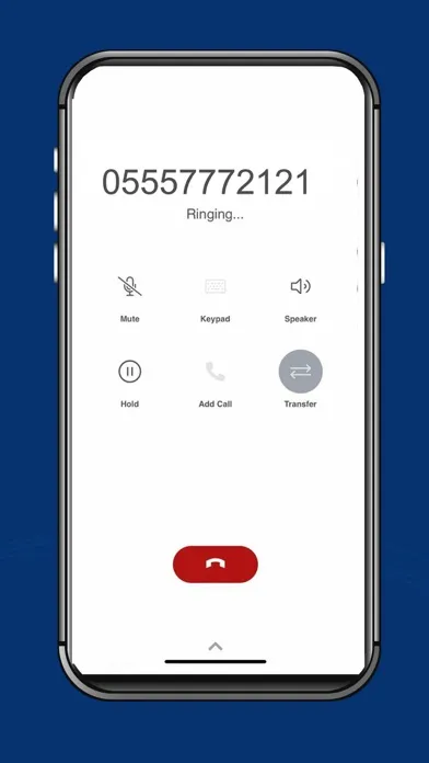 Windsor Phone應用截圖