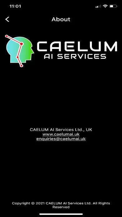 CAELUM AI Services 스크린샷