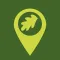 Epping Forest Walks