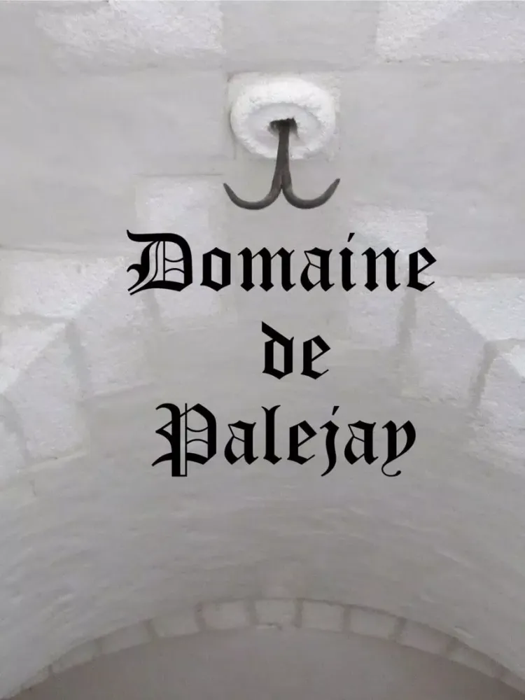 Ảnh chụp màn hình của Domaine de Palejay iPad 