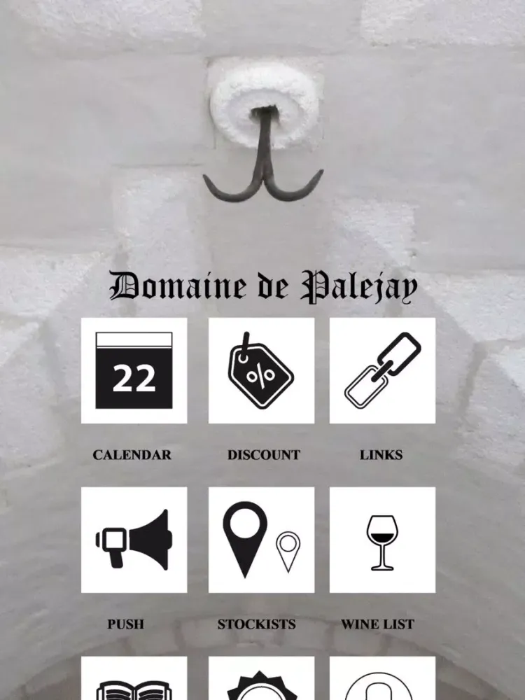 Ảnh chụp màn hình của Domaine de Palejay iPad 