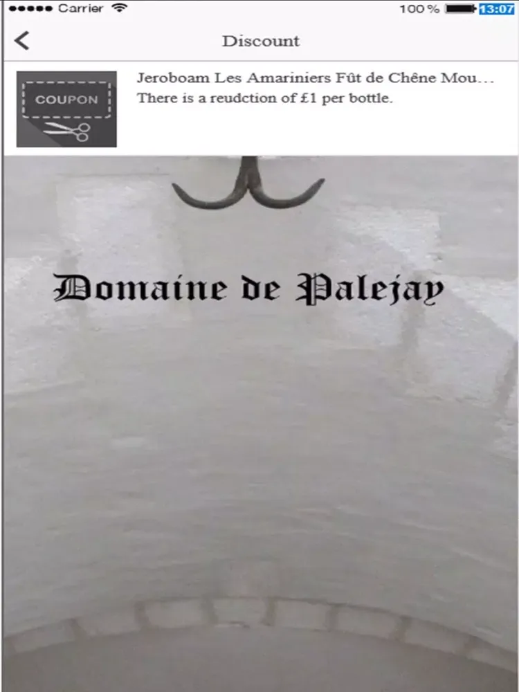 Ảnh chụp màn hình của Domaine de Palejay iPad 
