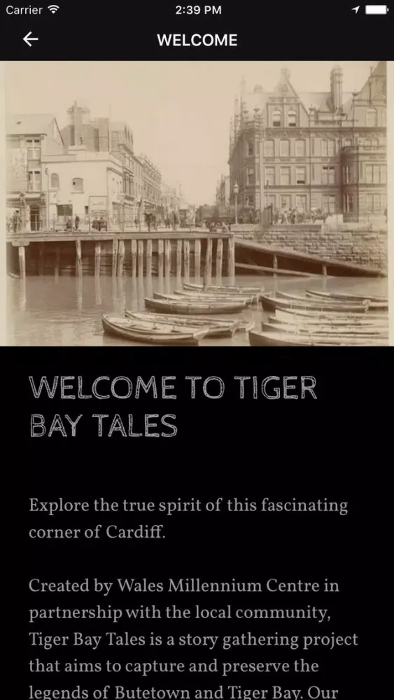 Hanesion Tiger Bay Tales スクリーンショット
