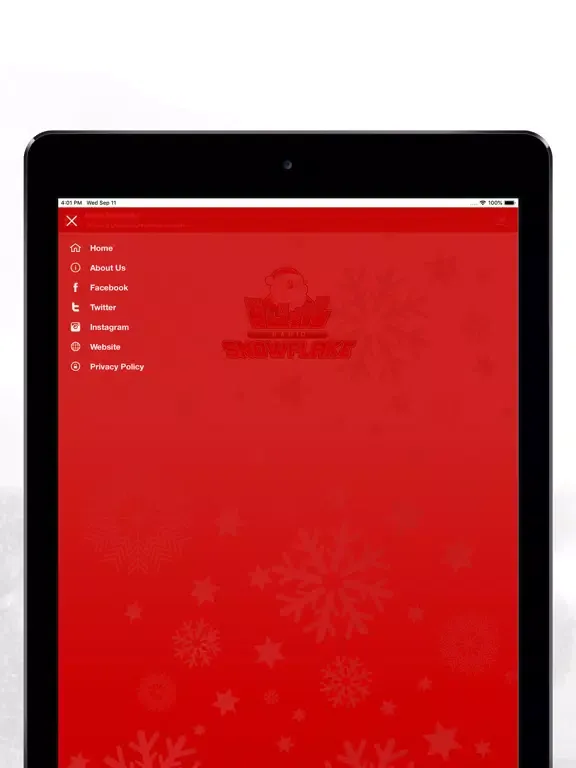 Ảnh chụp màn hình của Radio Snowflake iPad 