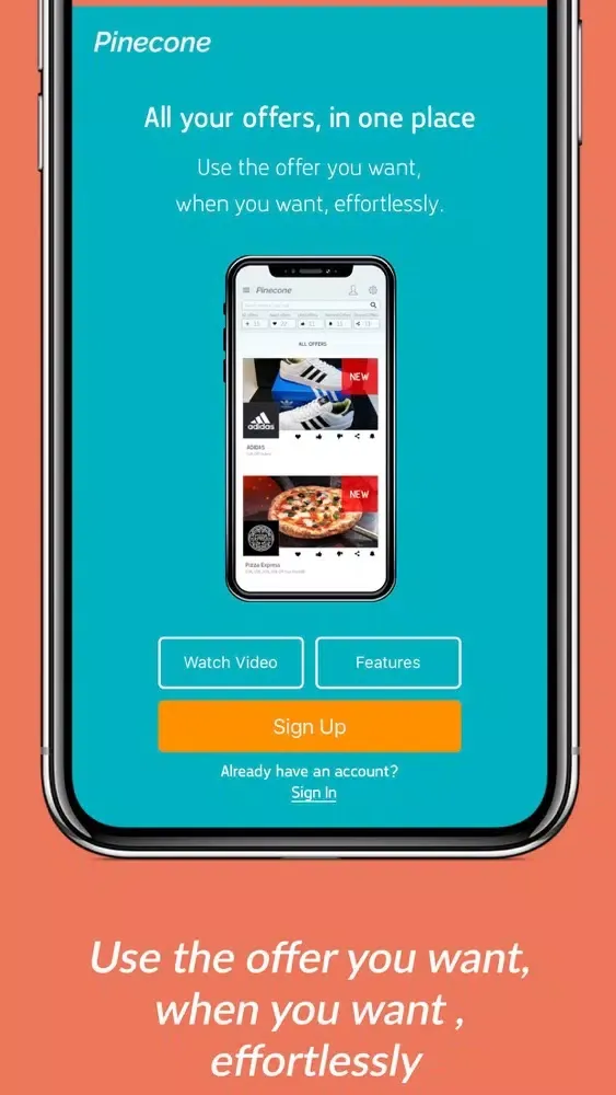 Screenshot di Pinecone