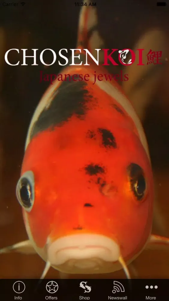 Chosen Koi Screenshots