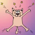 Nude Cat