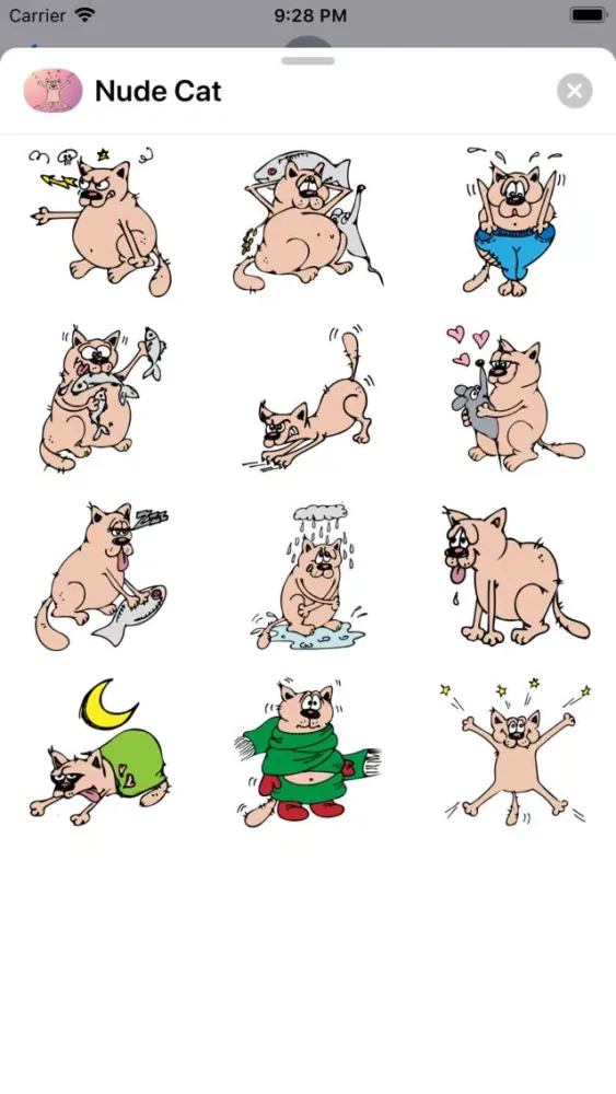 تصاویر Nude Cat