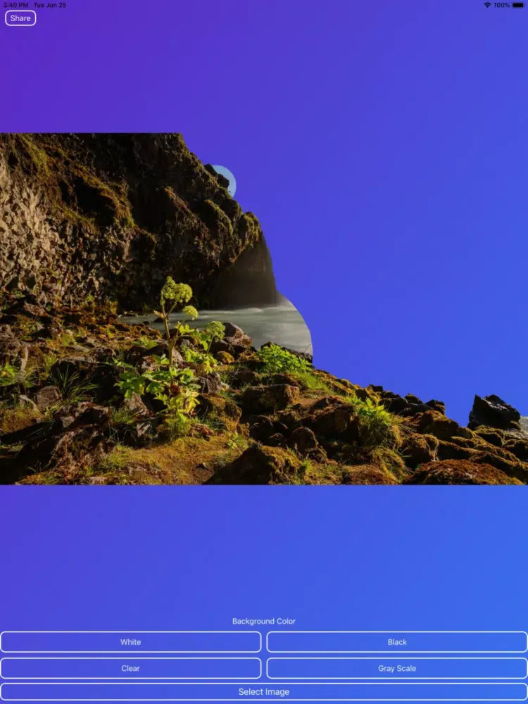 ภาพหน้าจอของ Ultimate BG Remover iPad 