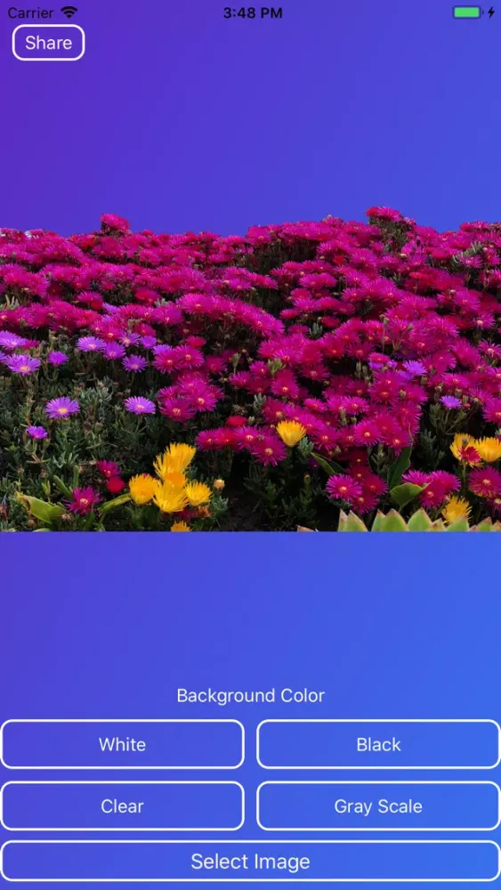 ภาพหน้าจอของ Ultimate BG Remover