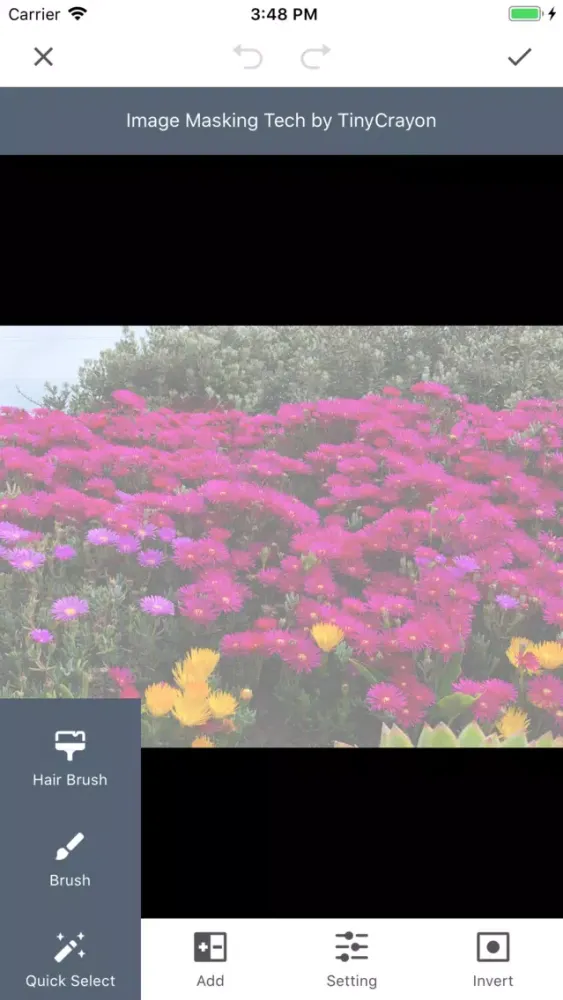 ภาพหน้าจอของ Ultimate BG Remover