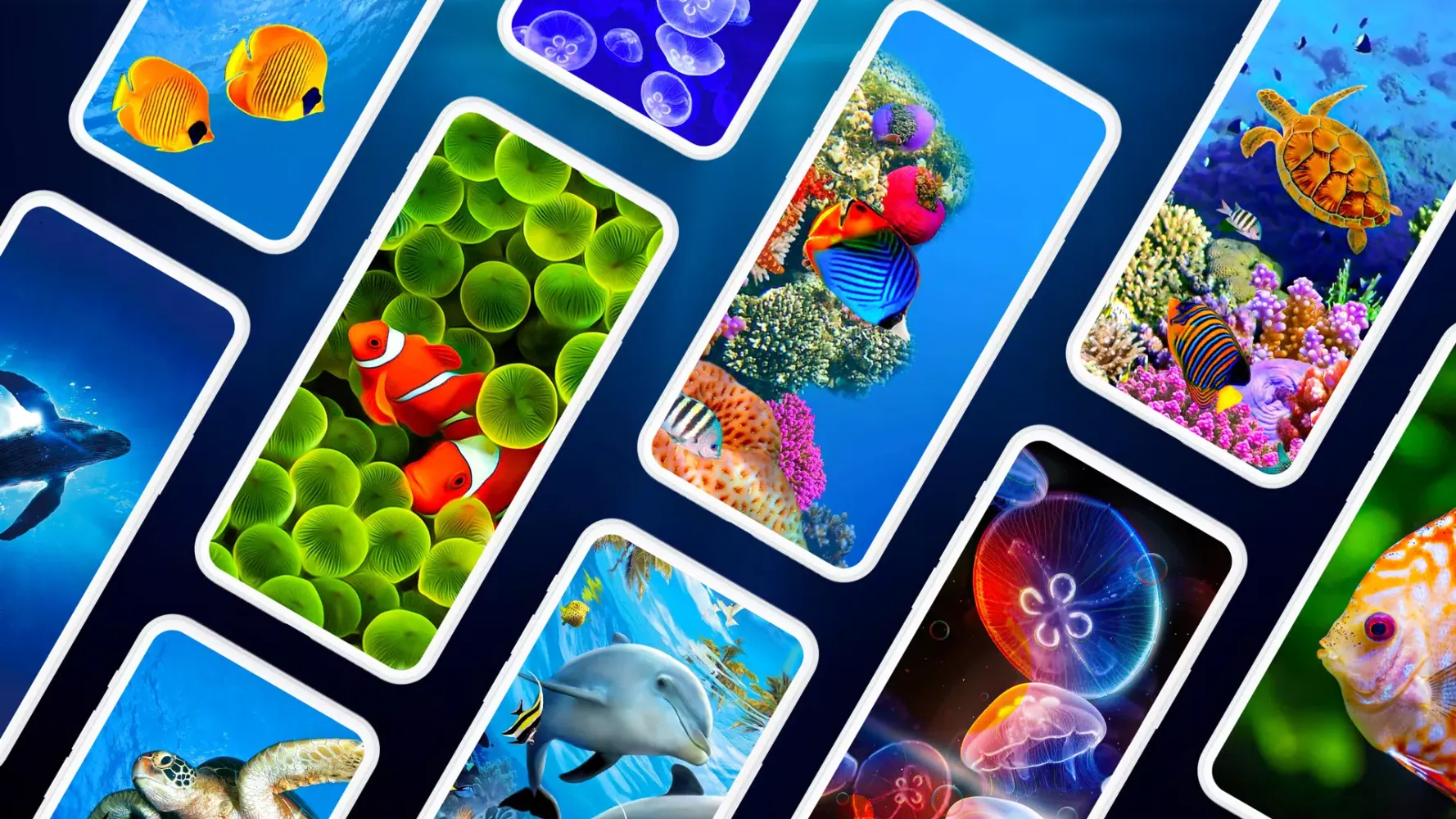Capturas de pantalla de Underwater Wallpapers 4K