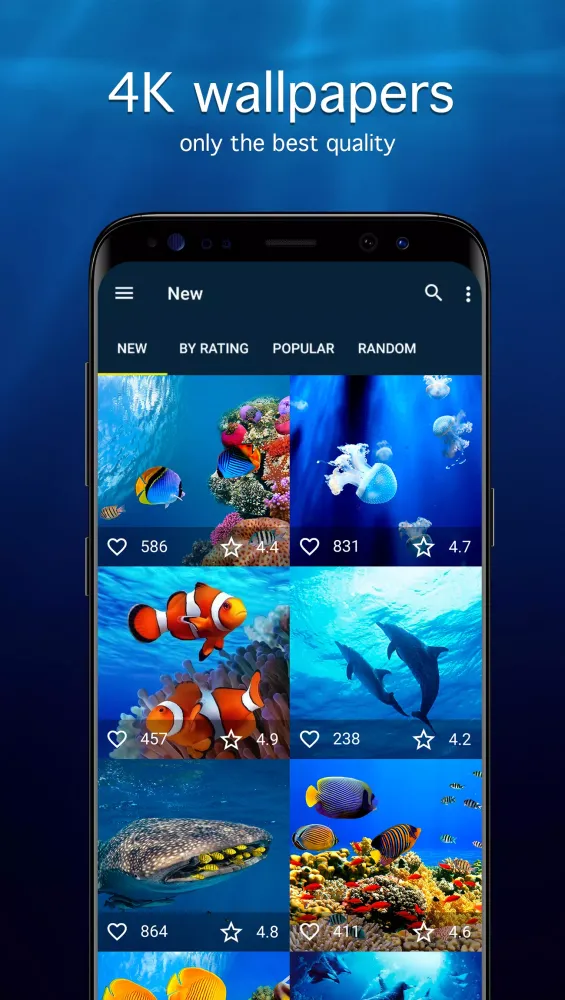 Capturas de pantalla de Underwater Wallpapers 4K