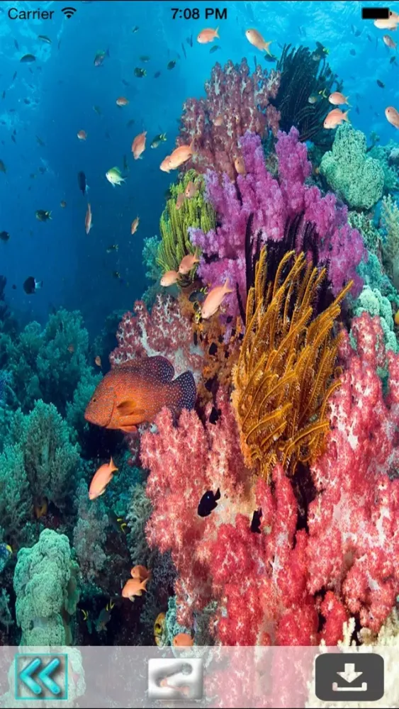 Underwater World Livewallpaper Ekran Görüntüleri