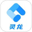 灵龙
