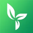LetPot