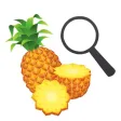 Exotic Fruit Guide
