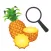 Exotic Fruit Guide
