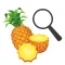 Exotic Fruit Guide