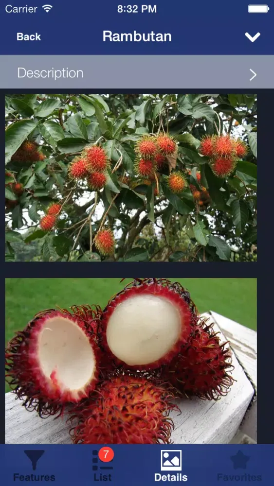 Capturas de tela do Exotic Fruit Guide