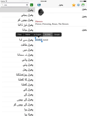 Ảnh chụp màn hình của English Urdu best dictionary - انگریزی اردو لغت بہترین ترجمه iPad 