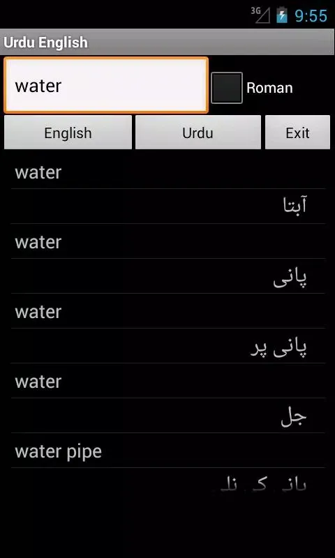 Urdu English应用截图