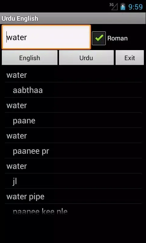 Urdu English应用截图