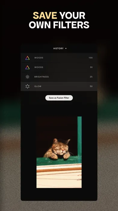 Capturas de pantalla de Afterlight: Photo Editor