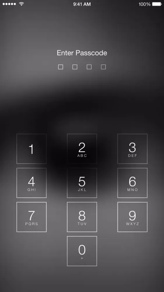 Big Brother Camera Security স্ক্রিনশট