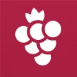 Vineyard: Find Virtuous Minds Vineyard: Find Virtuous Minds